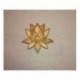 Fleur 1646 de lotus pour la carterie ou vos page de scrapbooking